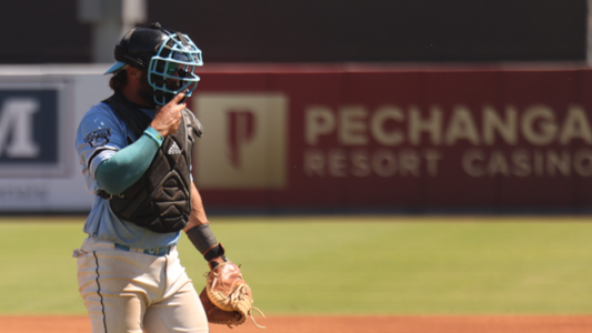 Baseball Catcher
